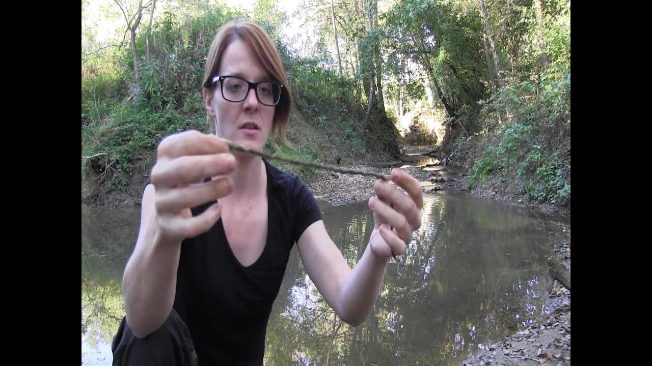 How To Make Cordage From Natural Materials