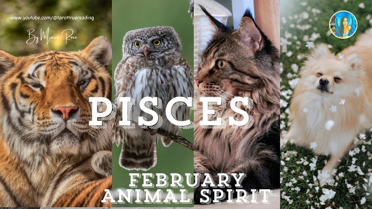 💥PISCES💥YOUR ANIMAL SPIRIT REVEALED💥YOUR MONTH TO SHOW & SHINE☀️⭐👑 #pisces #pisceshoroscope #tarot
