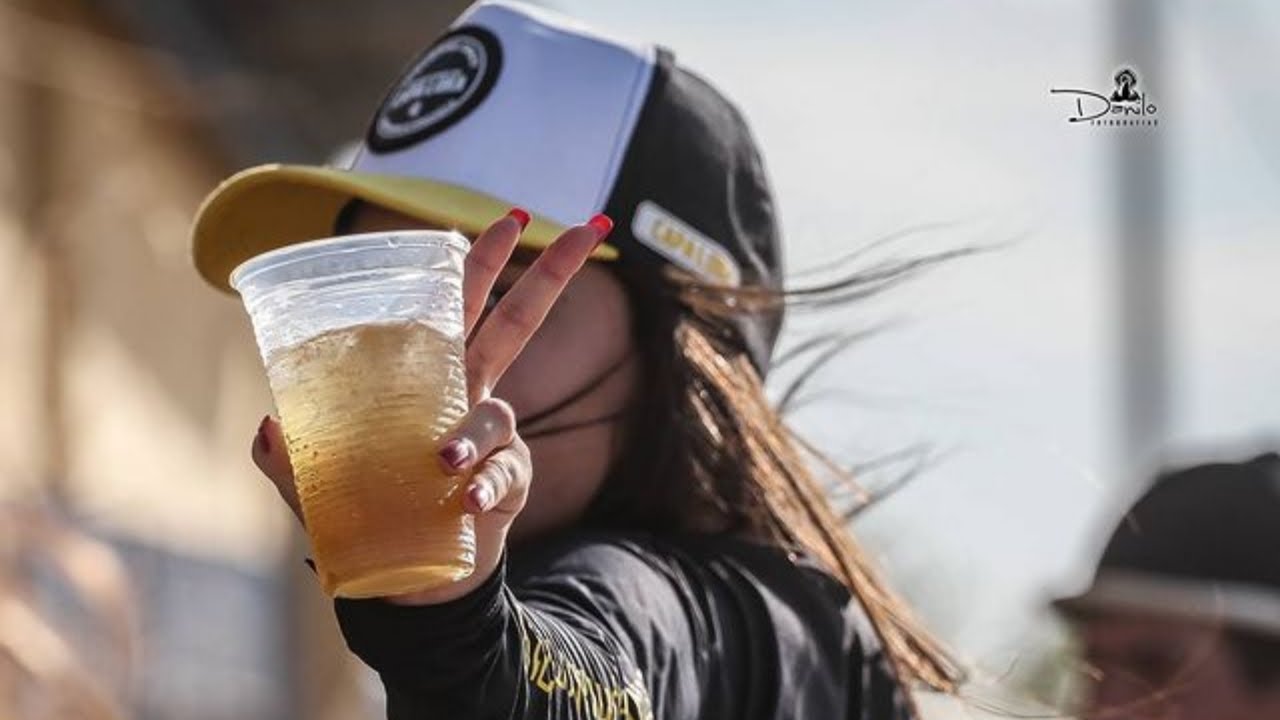 Muito Piseiro, Forró e Vaquejada - As Mais Escutadas (Piseiro, Forró e Vaquejada)