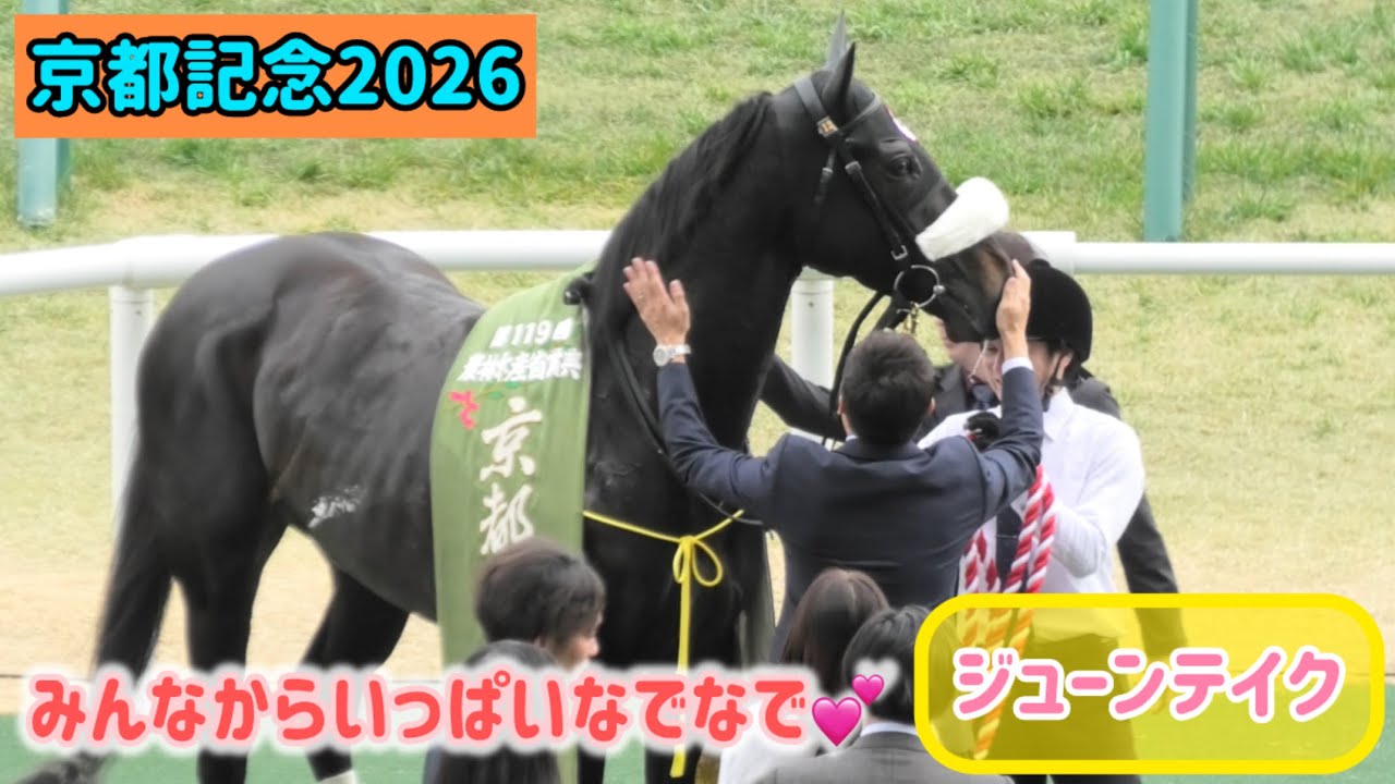 【京都記念2026】勝ってなでなでラッシュを受けるジューンテイク