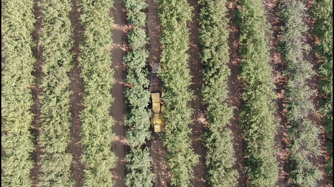 Exact Corp. The Original Low Dust Harvester
