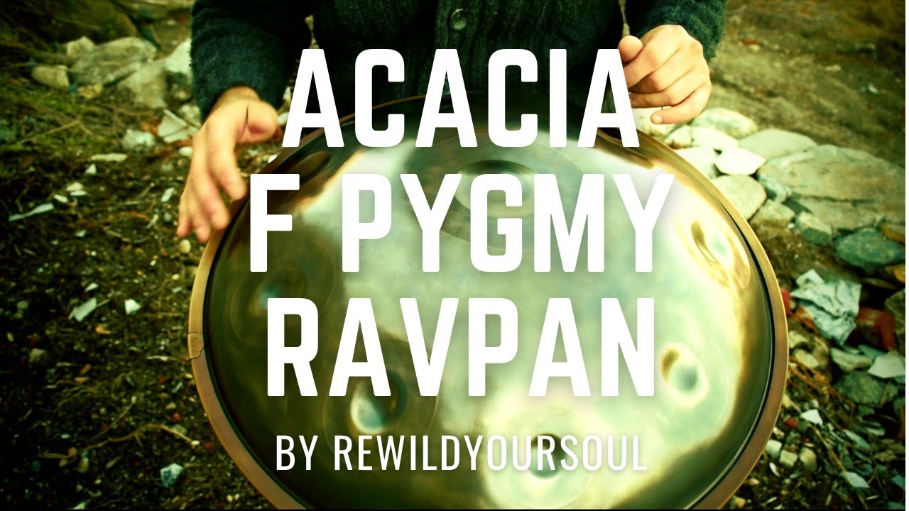 Ravpan F Pygmy Handpan 