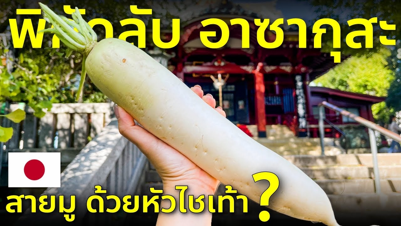 เปิดพิกัดลับย่านอาซากุสะ วัดหัวไชเท้า โมโนเรลสั้นที่สุดในญี่ปุ่น เที่ยวญี่ปุ่น โตเกียว Tokyo Asakusa