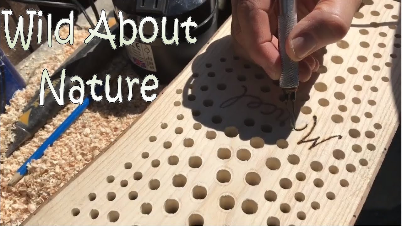 DIY Bee / Insect / Bug Hotel / Habitat Build - Off To The Netherlands! - 4K