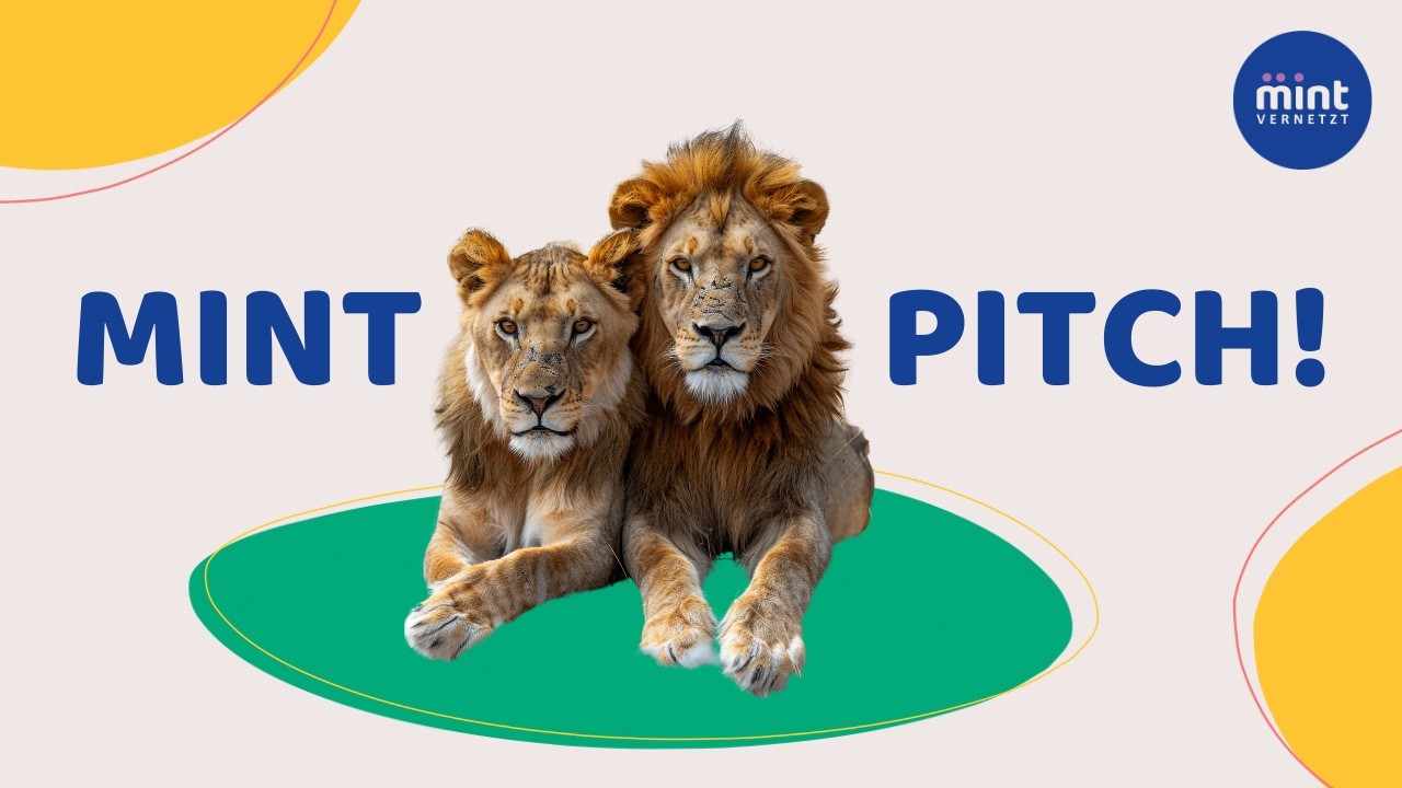 MINTvernetzt MINT-Pitch 2025