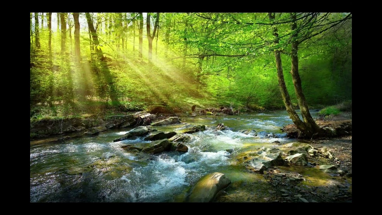 Meditação de Cura Energética (5)