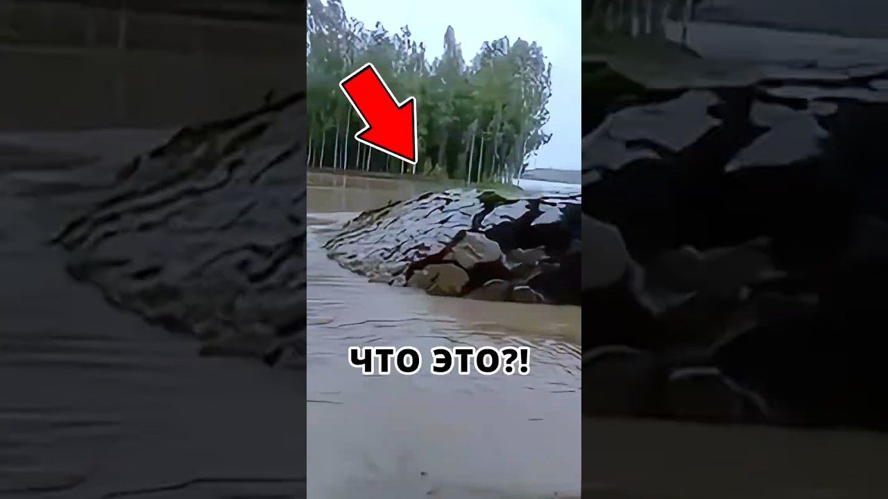 😱 Из под воды вылезло НЕЧТО!