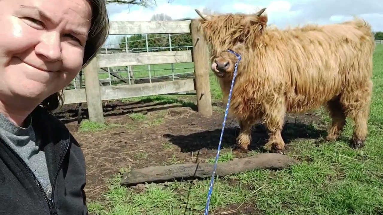 Rope Halter Training with Bluebell 