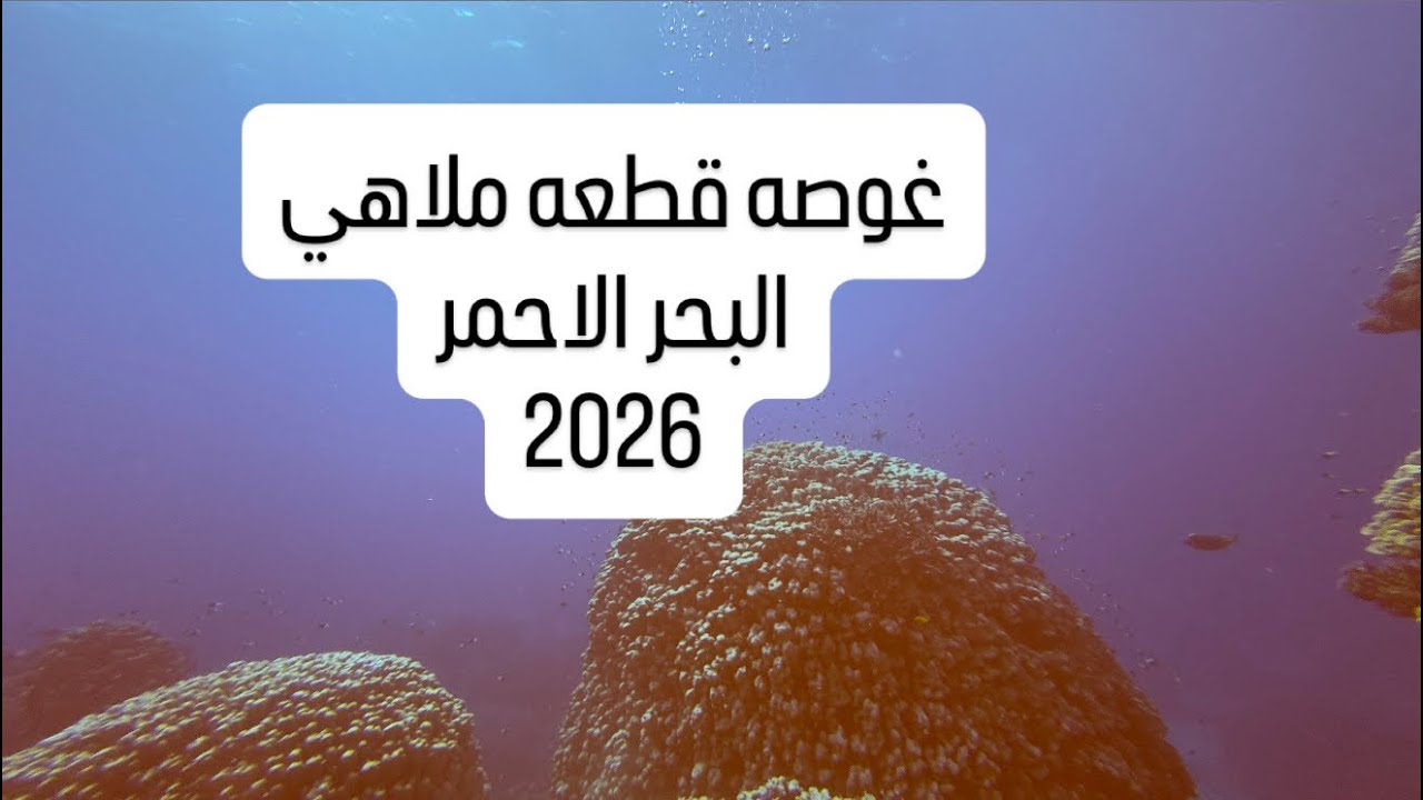 غوصه قطعه ملاهي جنوب البحر الاحمر سفاري المركز الكويتي للغوص 2026