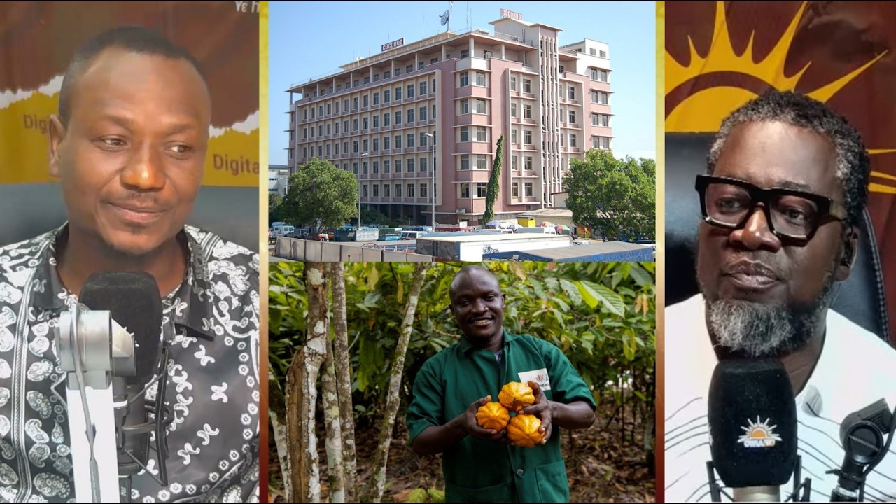 Unnecessary politics, power play, and corporate governance issues are affecting the cocoa sector.