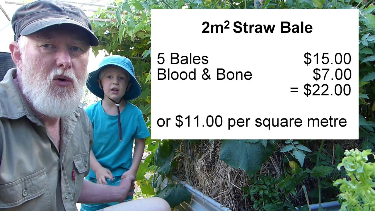 Is STRAW BALE Gardening Worthwhile???