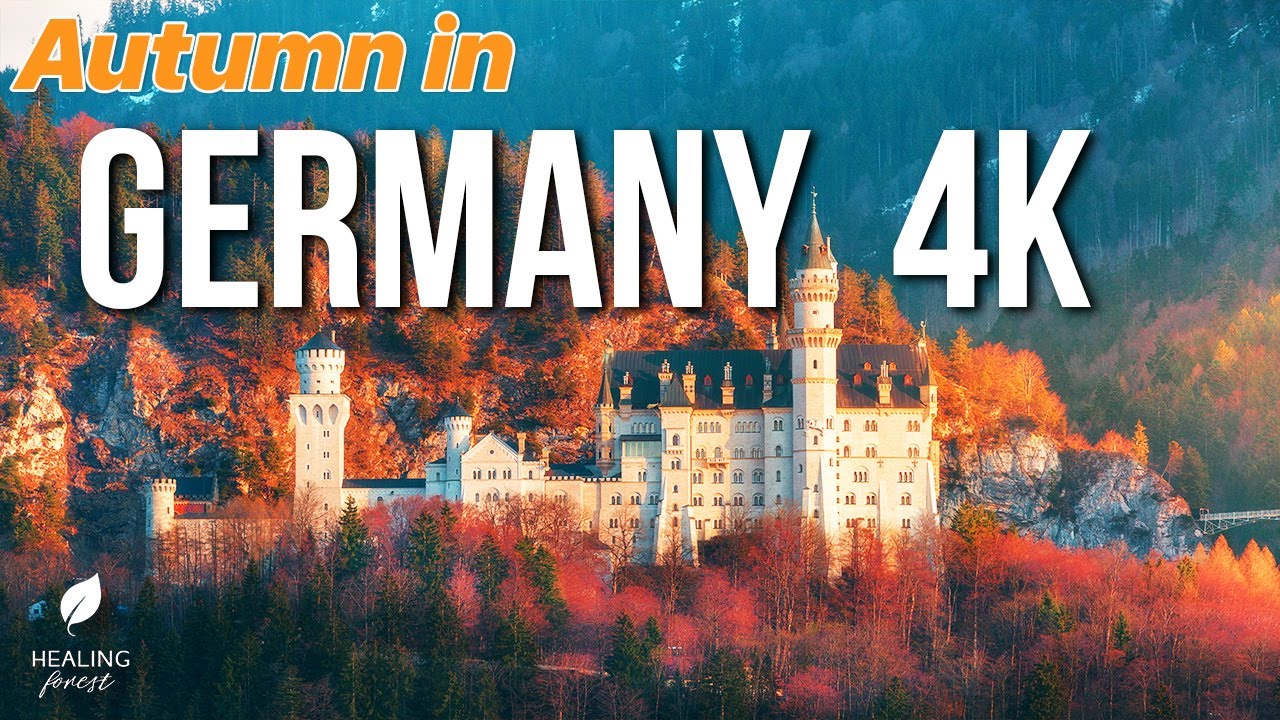 Autumn in Germany 4K 🇩🇪 🍁 Neuschwanstein Castle & Black Forest  Relaxing Harp Music