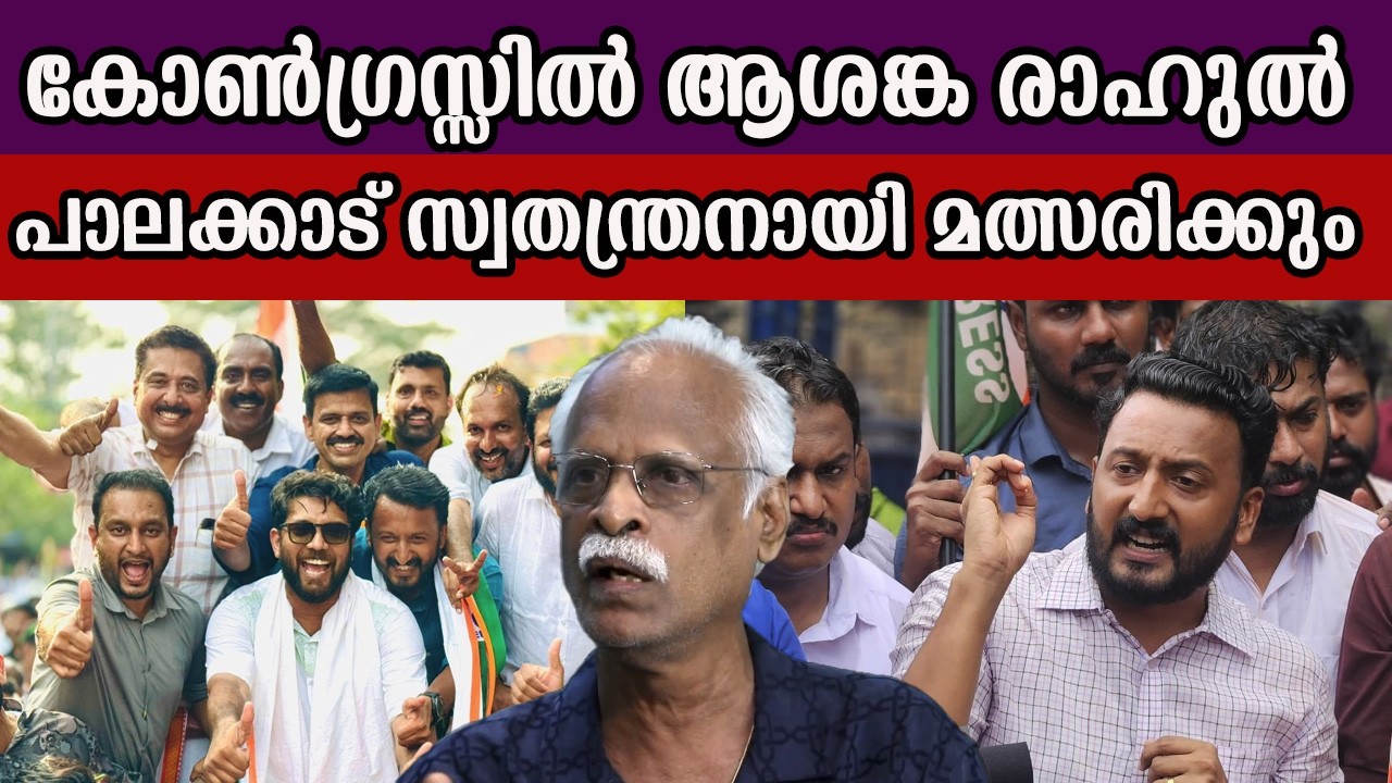 കോൺഗ്രസ്സിൽ ആശങ്ക രാഹുൽ പാലക്കാട് സ്വതന്ത്രനായി മത്സരിക്കും  #rahulmankoottathil  #congresskerala