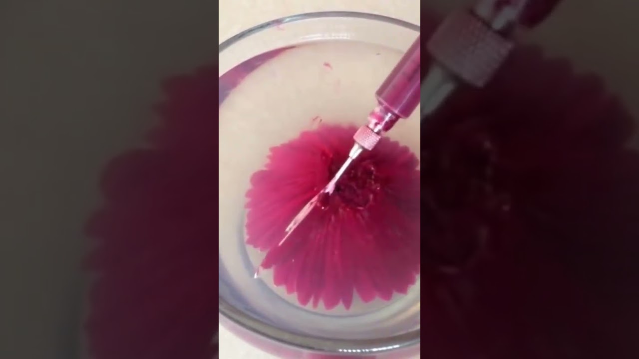 Arte en Gelatina m&aacute;s de 1 mill&oacute;n 300 mil vistas clavel con gubia aguja cuchillo delgado estilo