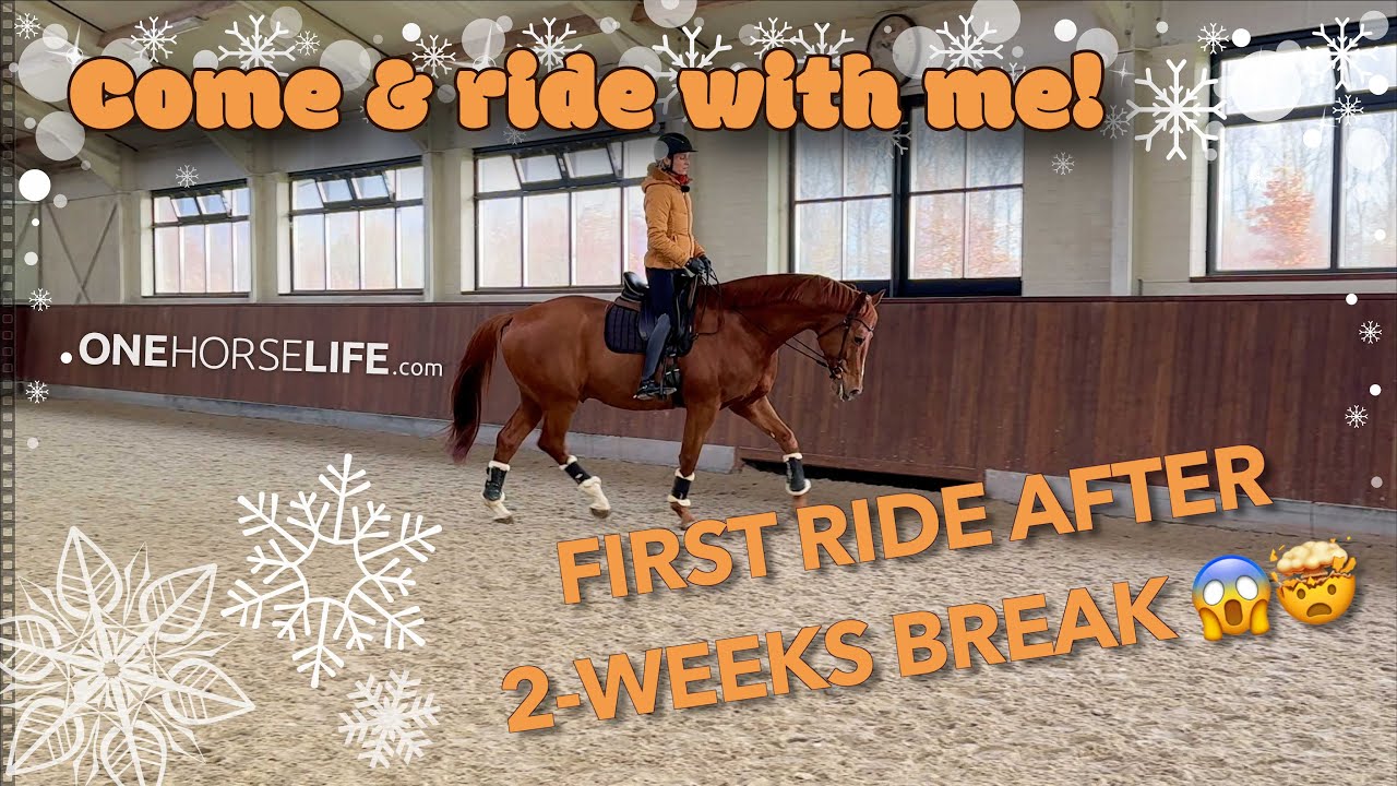 OneHorseLife TV: Riding my horse after 2 weeks break😱🤯