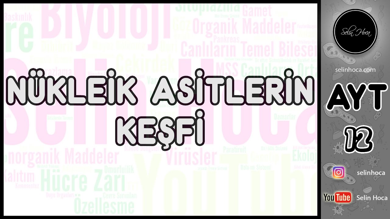1) Nükleik Asitlerin Keşfi