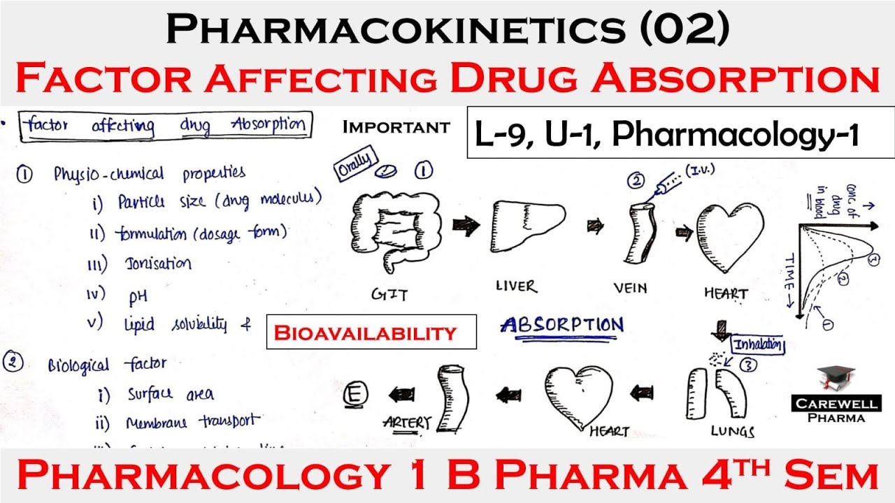 Pharmacokinetics (02) || Factor affecting drug Absorption | L-9, Unit-1 | pharmacology 4th semester