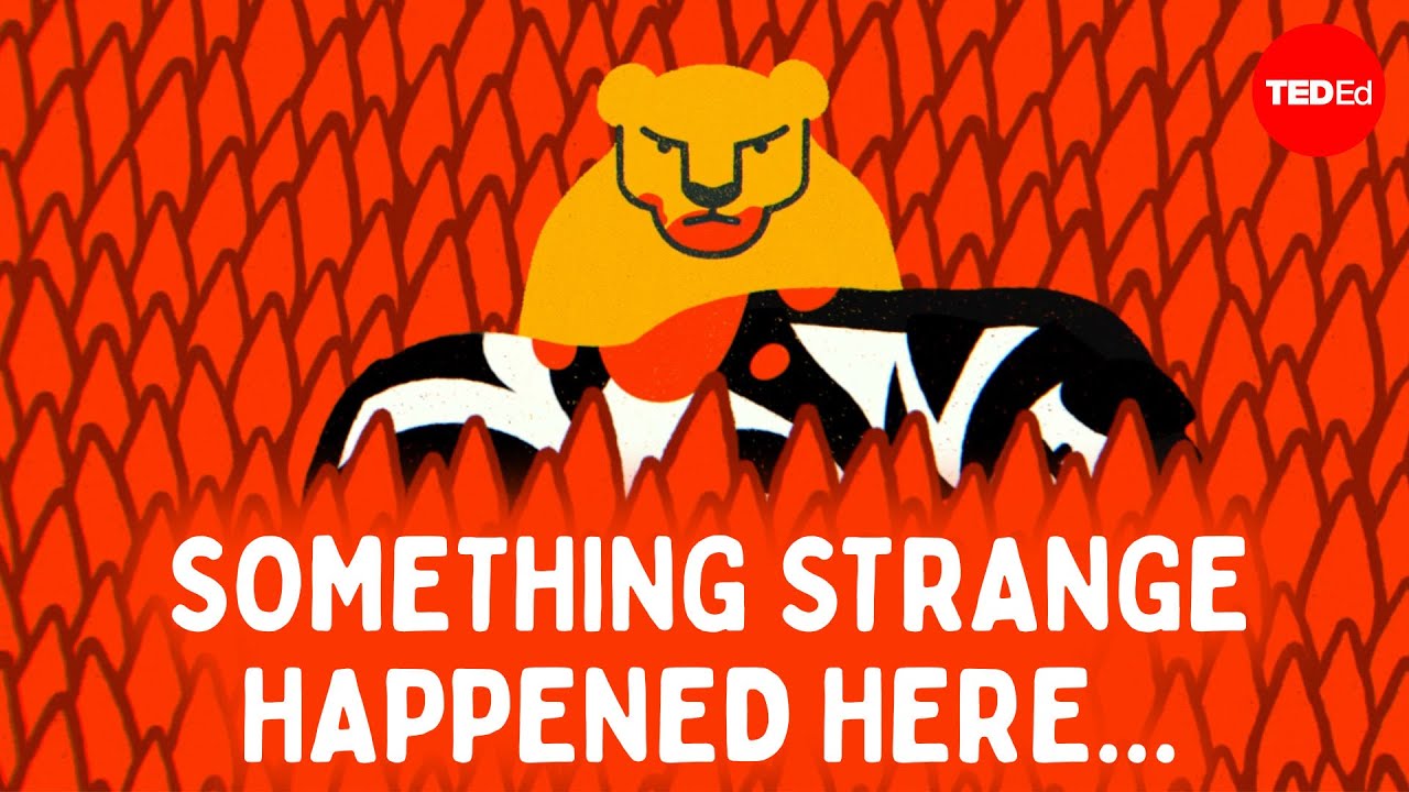Can you figure out the savanna mystery? - Cella Wright