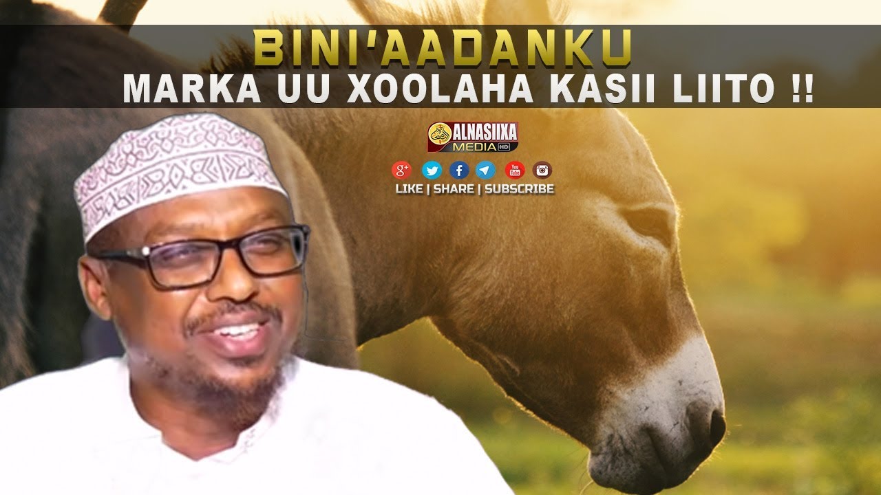 BINI'AADANKU MARKA UU KASII LIITO XOOLAHA !! ᴴᴰ┇ Sh. Mustafe Xaaji Ismaaciil