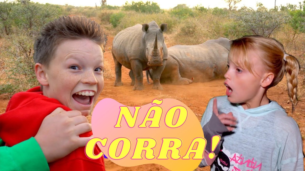 Ninja Kidz Passa a Noite na Selva 🌴 Encontramos o Rinoceronte 🦏 Português para crianças