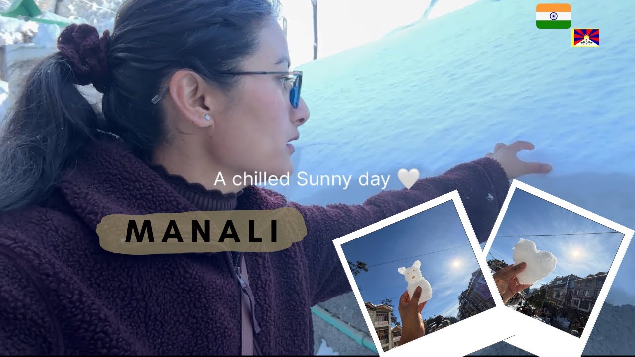 After Another Snow ⛄️🤎 #indian #tibetan #vlogger @simplydeepika1539 