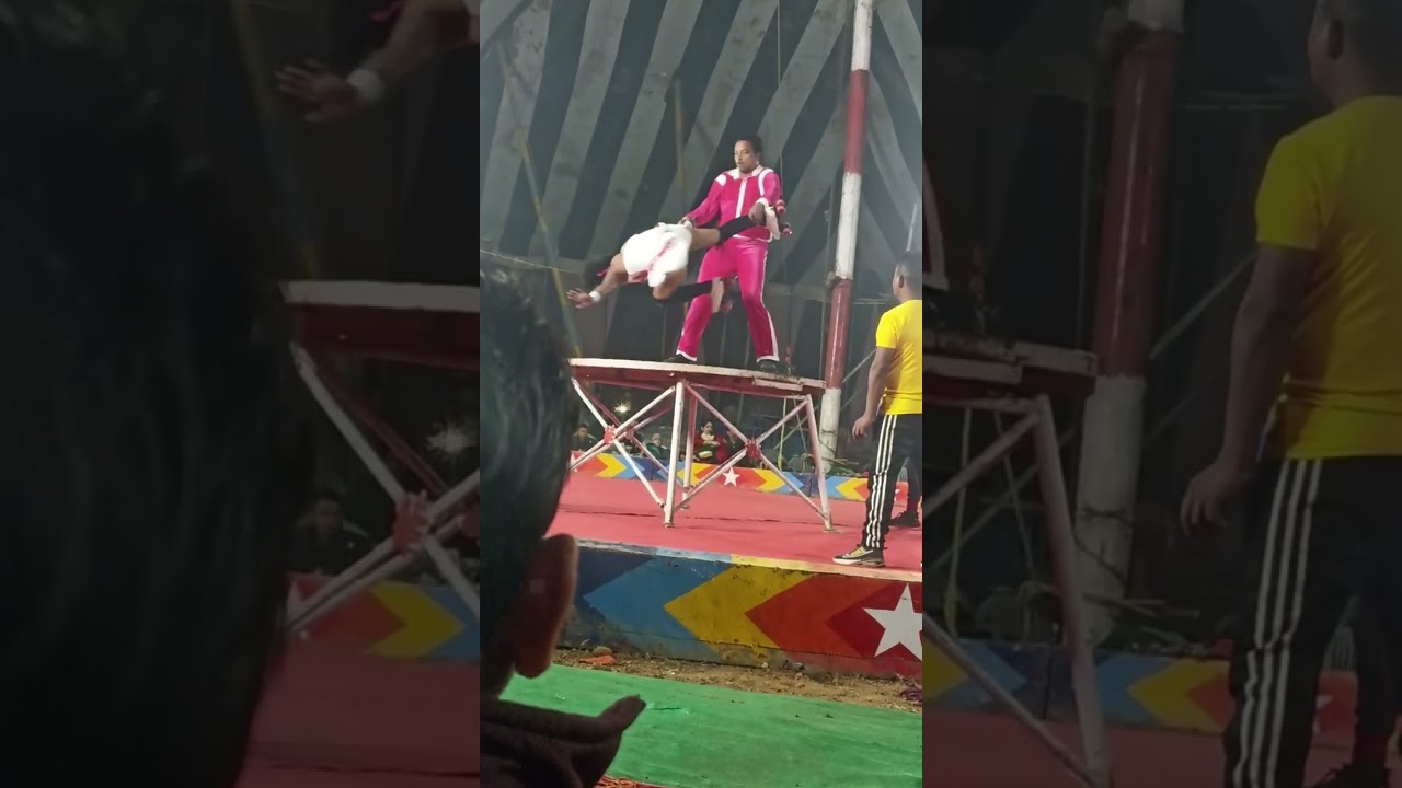 Part 7 Gemini circus 🎪🦸🎪 joker comedy karte hue aap log jarur dekhiae#song 