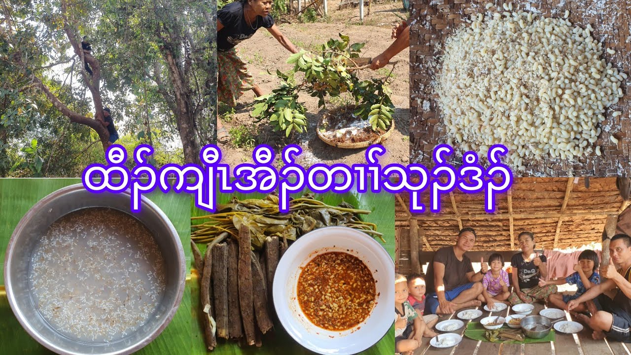 Cooking ant eggs curry 