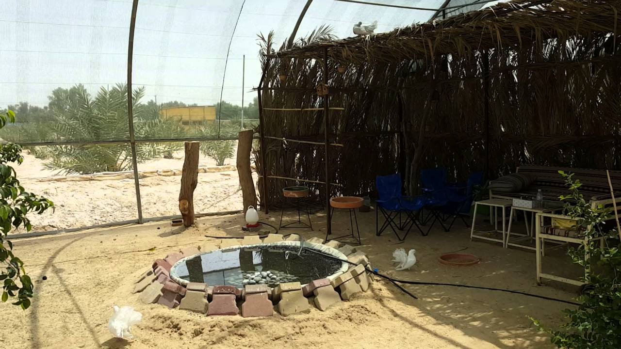 محمية طيور علي الدويهيس