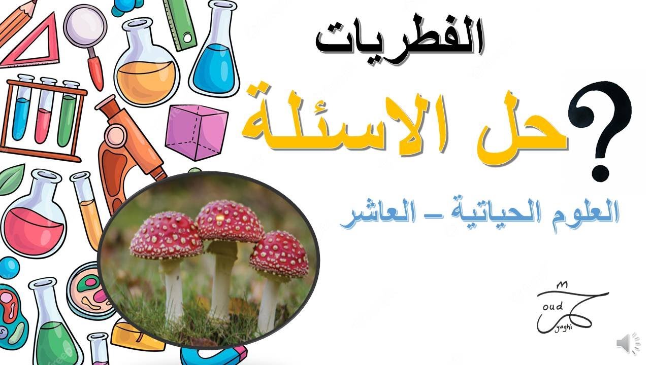 حل اسئلة درس الفطريات - العلوم الحياتية