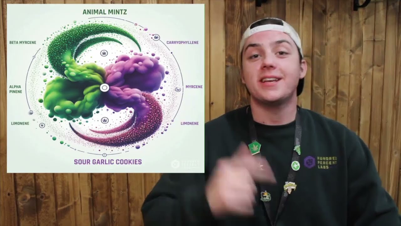 Crumble Infused Flower - Hundred Percent Labs