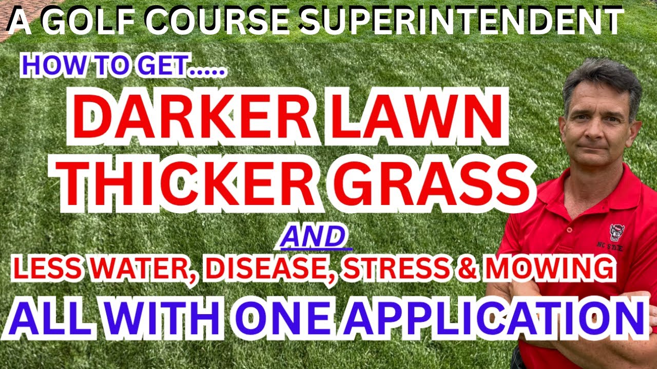 Take Your Lawn To The Next Level With Plant Growth Regulators