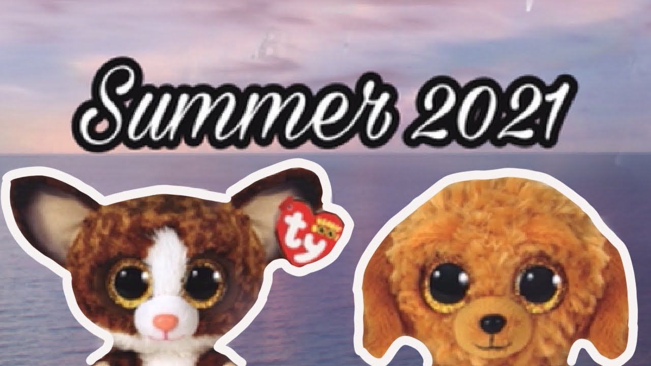 My Opinion On The New 2021 Summer Beanie Boos