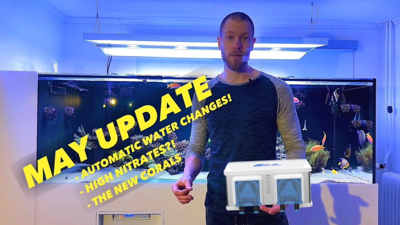 300g REEF TANK update - GHL maxi doser 2.2, nutrient issues, flow, automatic water changes and more!