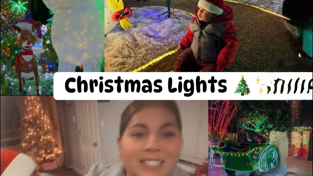 VLOG: FUIMOS A VER LAS LUCES DE NAVIDAD 🎄 