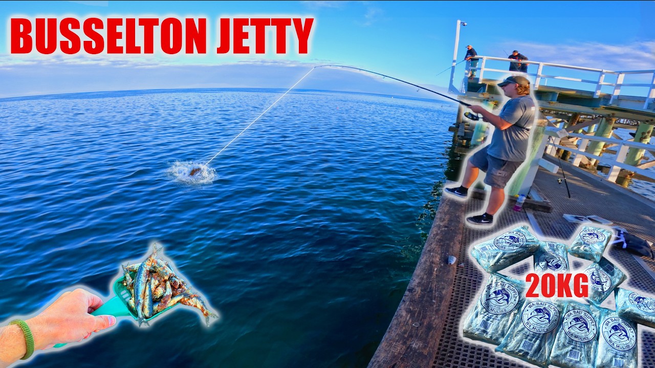 WHAT Can 20KG Of BURLEY Attract?! - Busselton Jetty Fishing