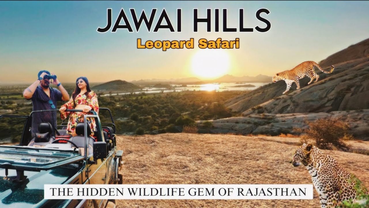 Exploring Jawai: Hidden Gem of Rajasthan Jawai Leopard Safari  #jawaibandh #jawaidam  #leopardsafari