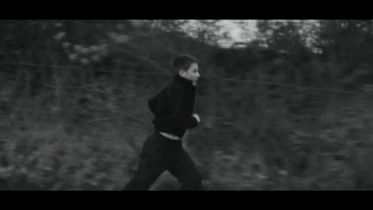 Apes & Horses - Miracle