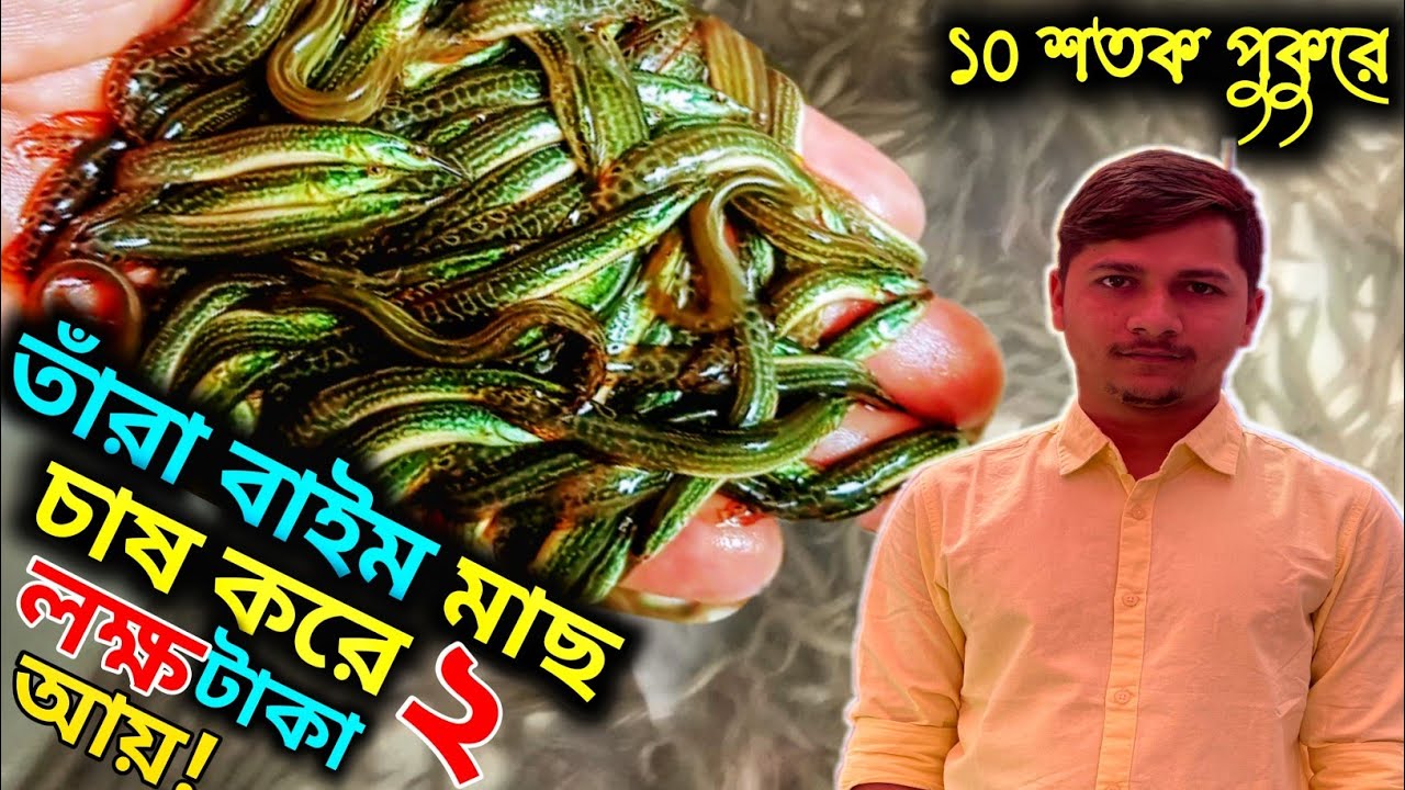 তাঁরা বাইম মাছ চাষ করে ২ লক্ষ টাকা আয় || ইফতি ফিস ফার্ম ||