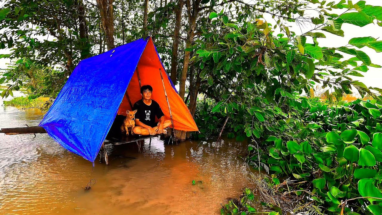 Survival in the flood zone | Camping with a loyal dog | ASMR sounds