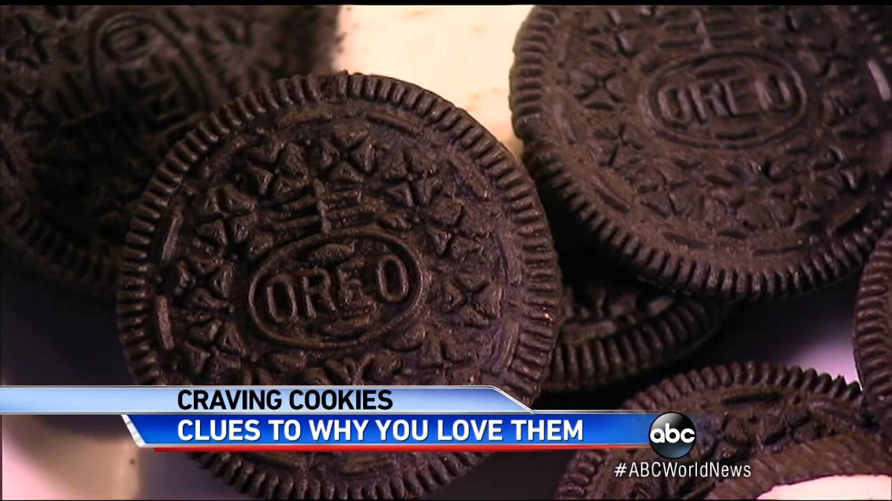 Oreos Addictive? Study Says Cookie May Be Similar to Cocaine to Rats and Dog