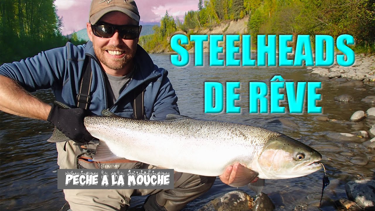 STEELHEADS DE RÊVE - Canada