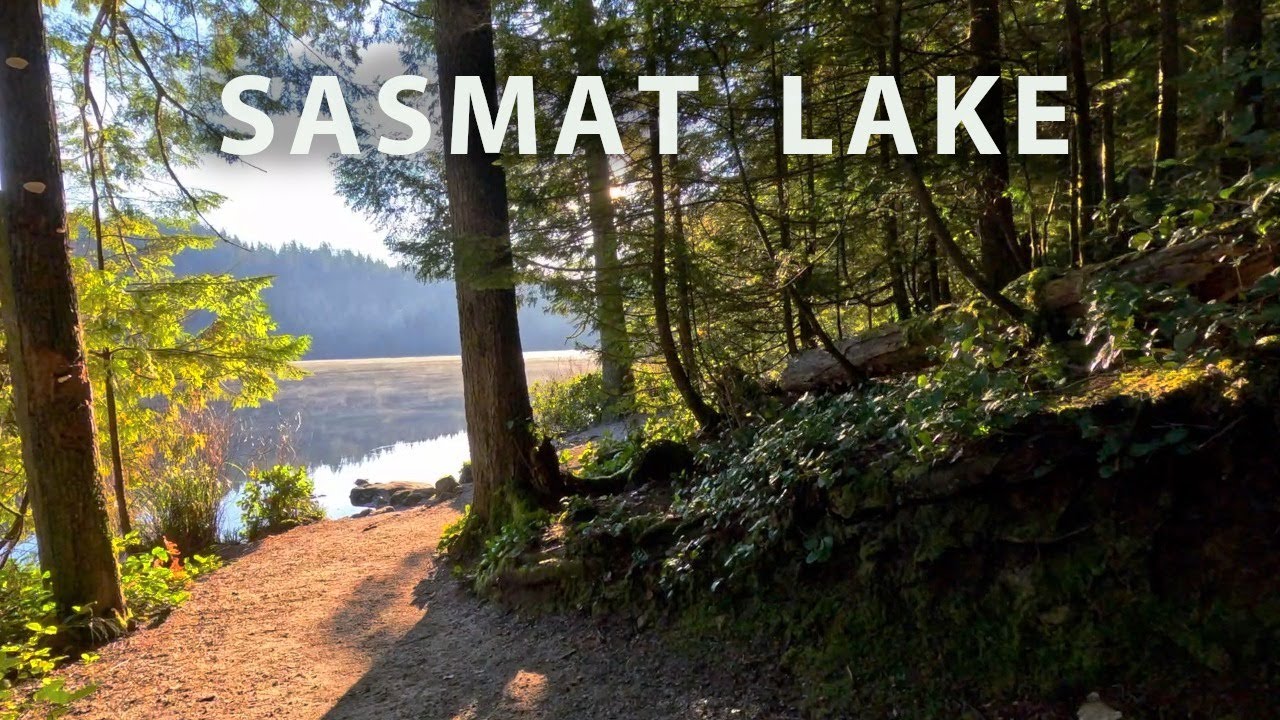 Peaceful Sunny day Forest Walk to a Serene Lake | Slow & Relaxing Nature Hike 🌧️🌲