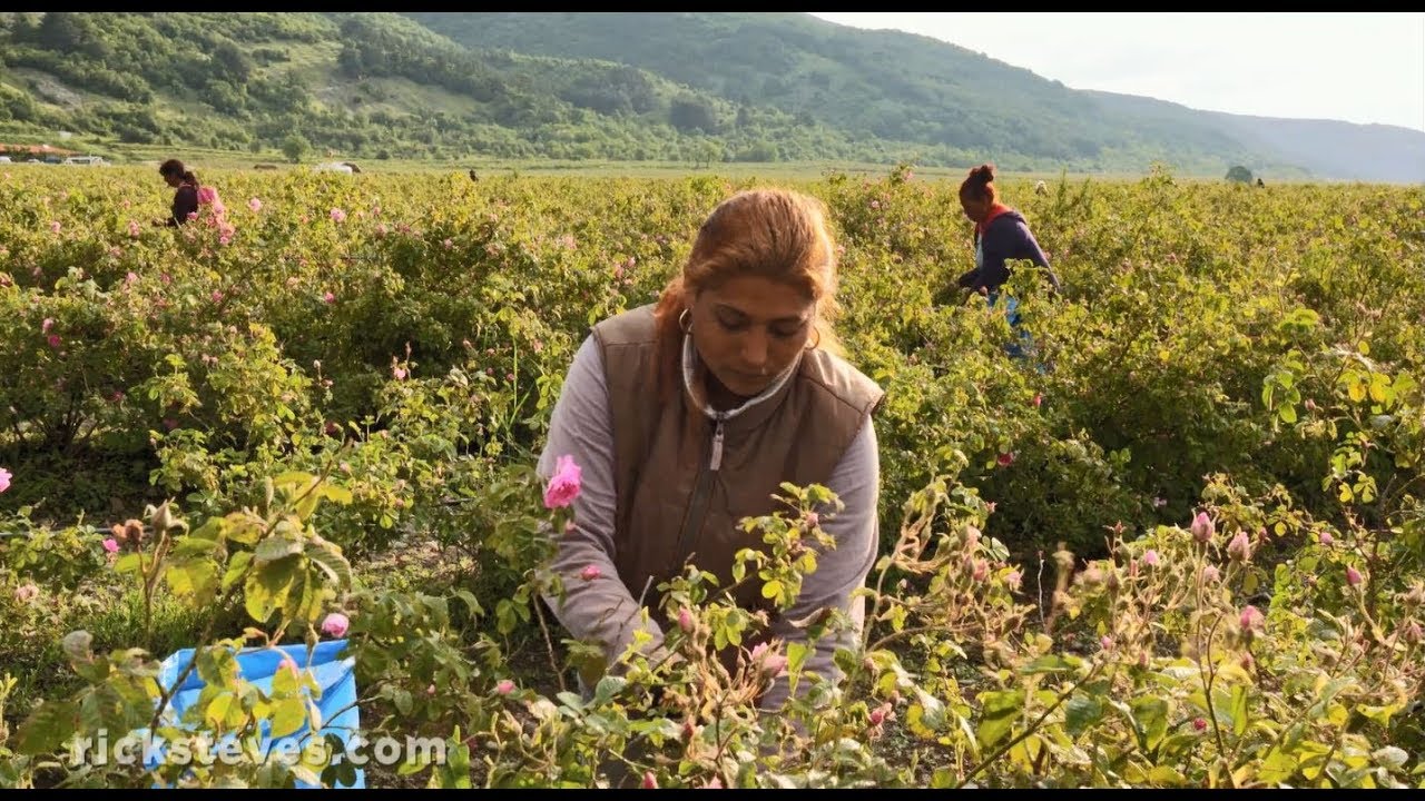 Thracian Plain, Bulgaria: Valley of the Roses - Rick Steves&rsquo; Europe Travel Guide - Travel Bite