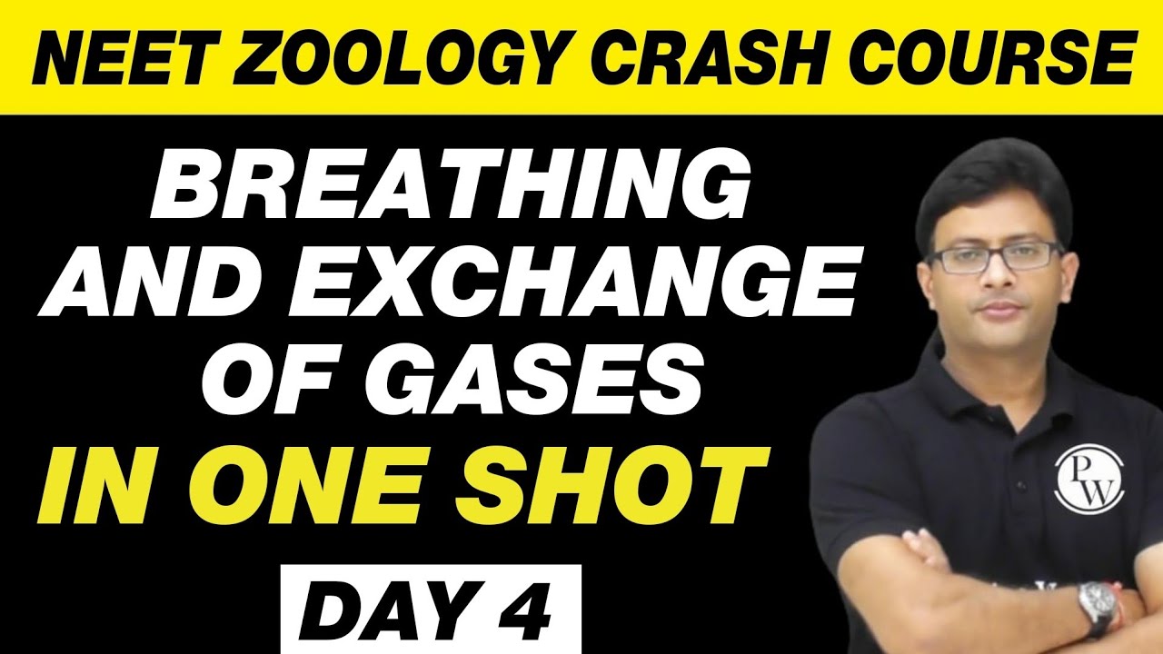 BREATHING AND EXCHANGE OF GASES in One Shot | NEET Zoology Crash Course | Day 4 | UMEED