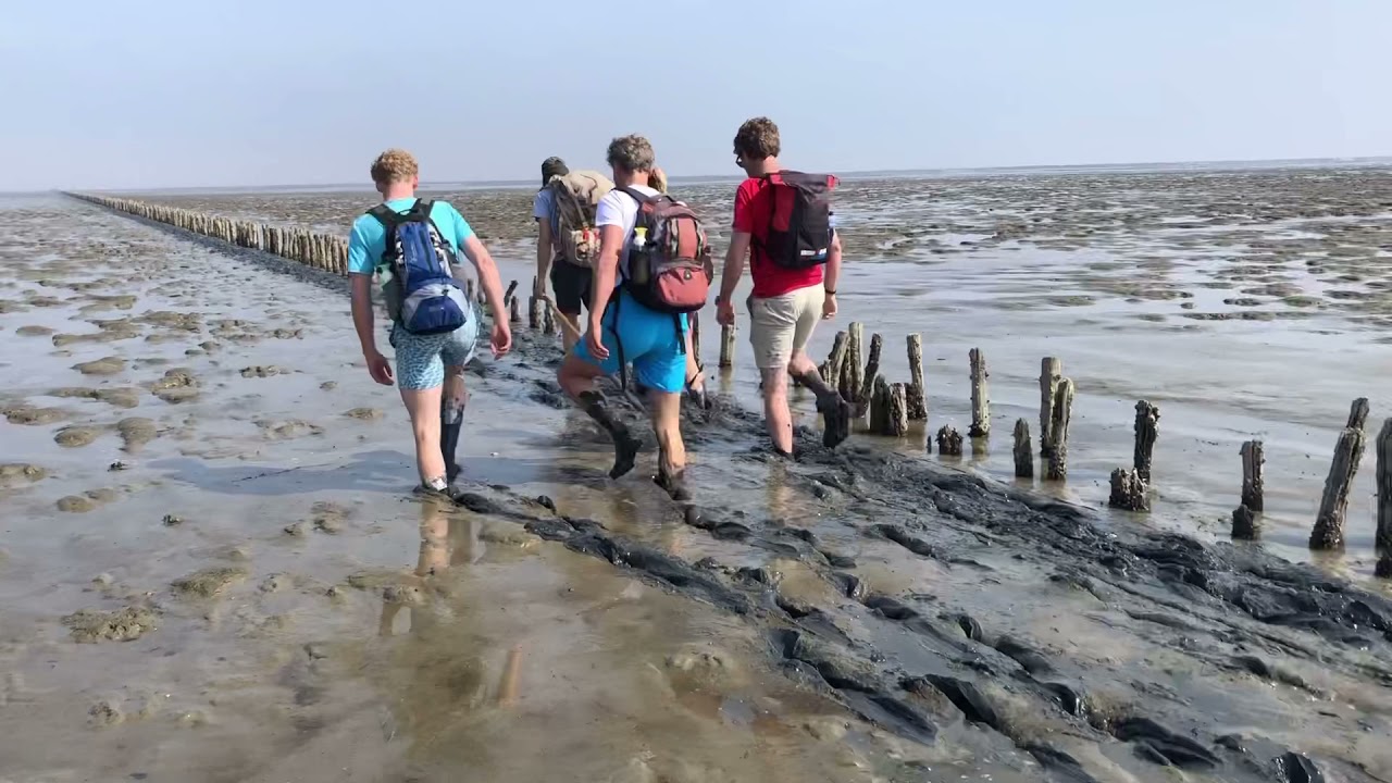 Wadlopen Ameland