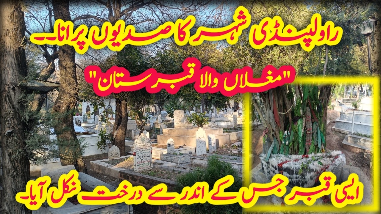 The Oldest And Historical Grave yard of Rawalpindi|A tree emerged from a grave|New Video From Pk 26