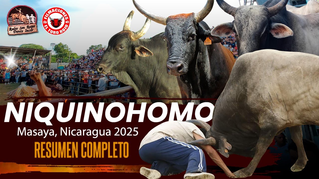 NIQUINOHOMO 2025 CIERRE CON GANADERIA DENIS INCER RESUMEN DE MONTAS 