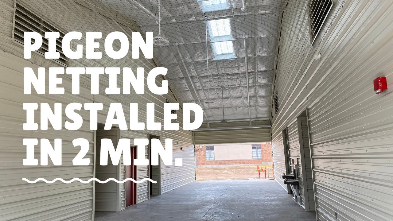 Pigeon Netting Installed in 2 Minutes