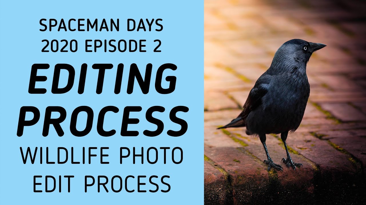 Lightroom & Photoshop Photo Edit Process - 2020 Episode 2