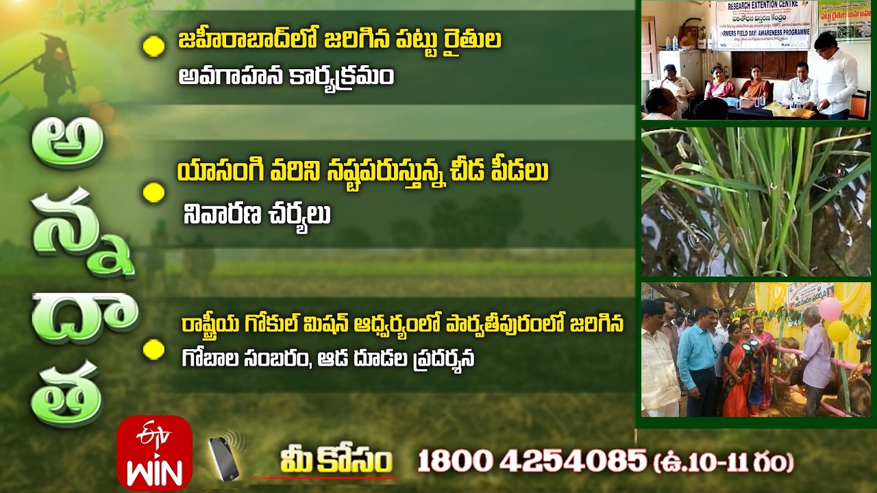 11th March 2026 | Annadata | అన్నదాత | Full Episode | ETV Telugu